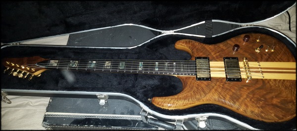 Carnvin Custom Guitar 2